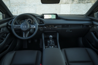 foto standard